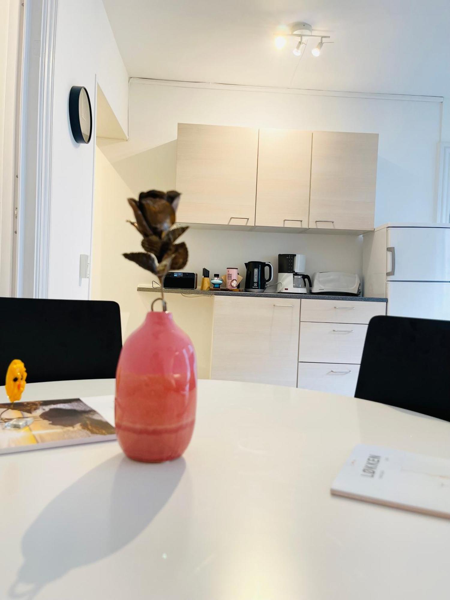 Scandinavian Apartment Hotel -Lunden 2- Central 2 Room Apartment Horsens Exteriör bild